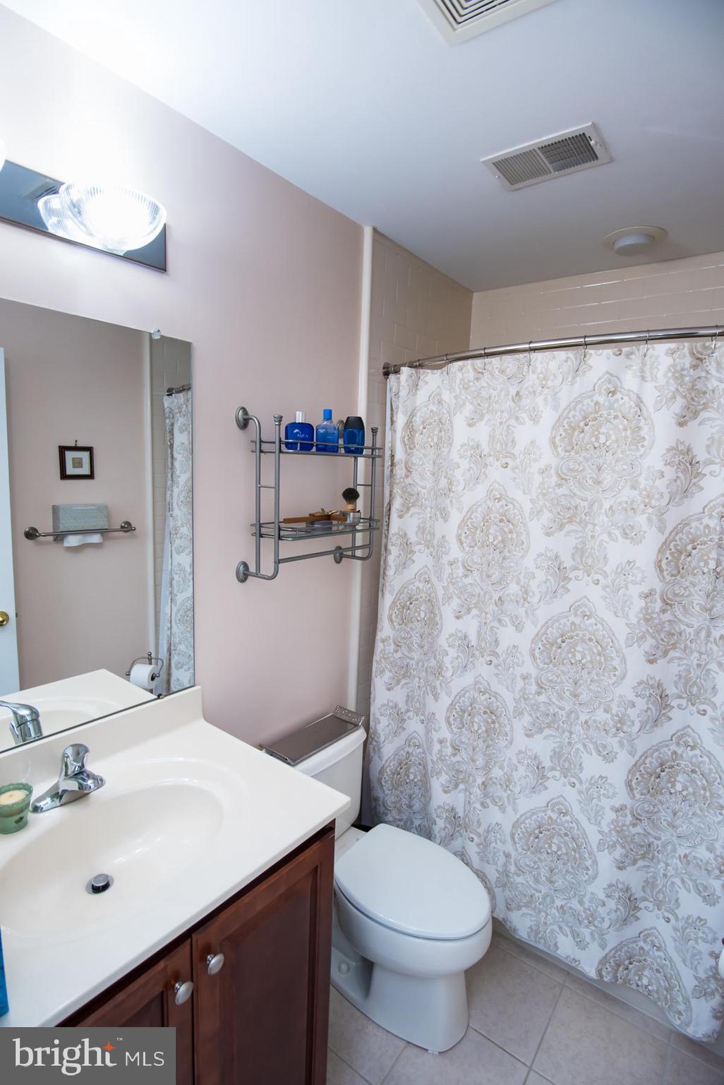 257 Flagstone Road, Unit 4 Chester Springs, PA 19425 - Photo 44 of 55 Fully Hallway Bathroom