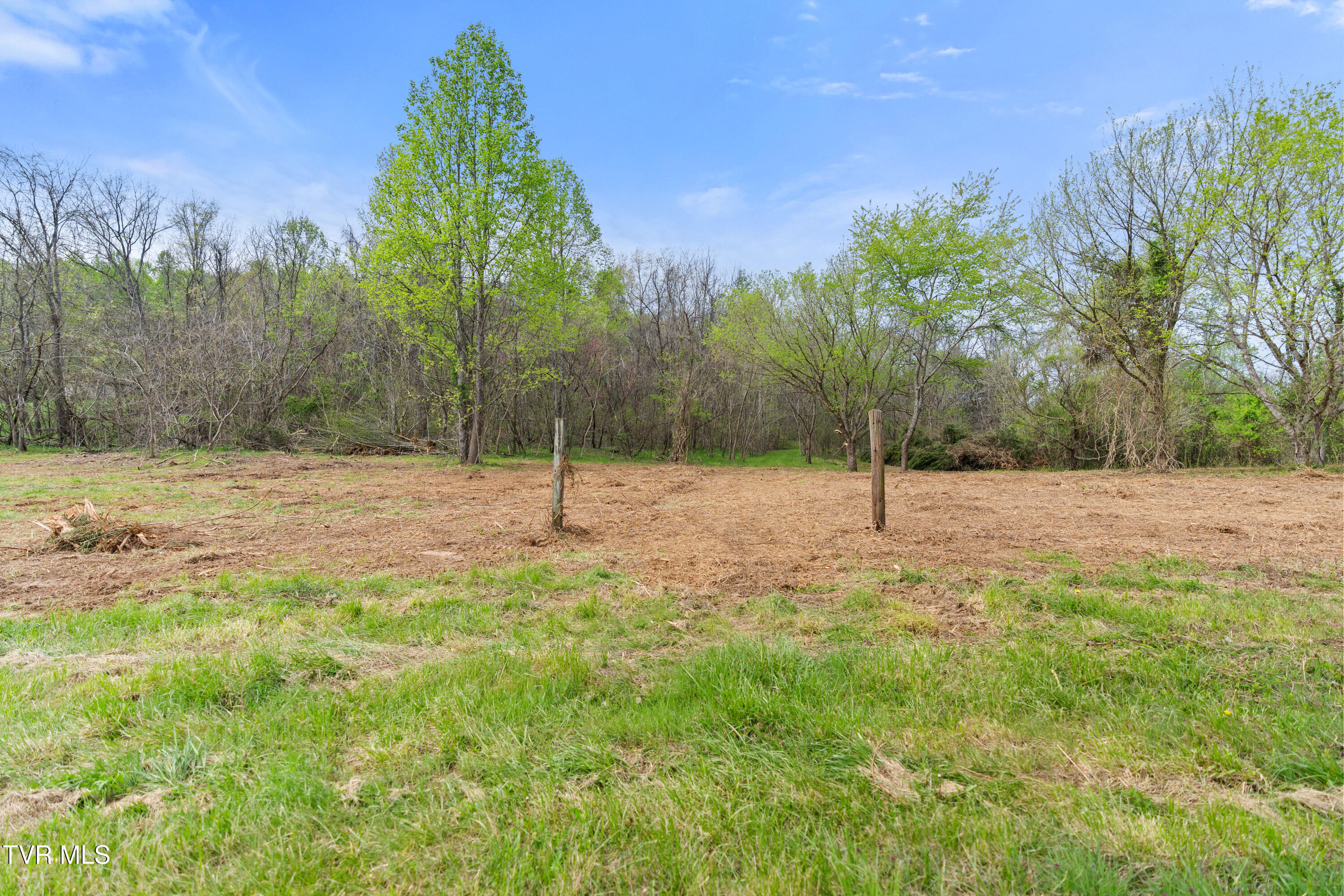 Tbd Doty Chapel Road Afton, TN 37616 - Photo 11 of 12 DSC06924