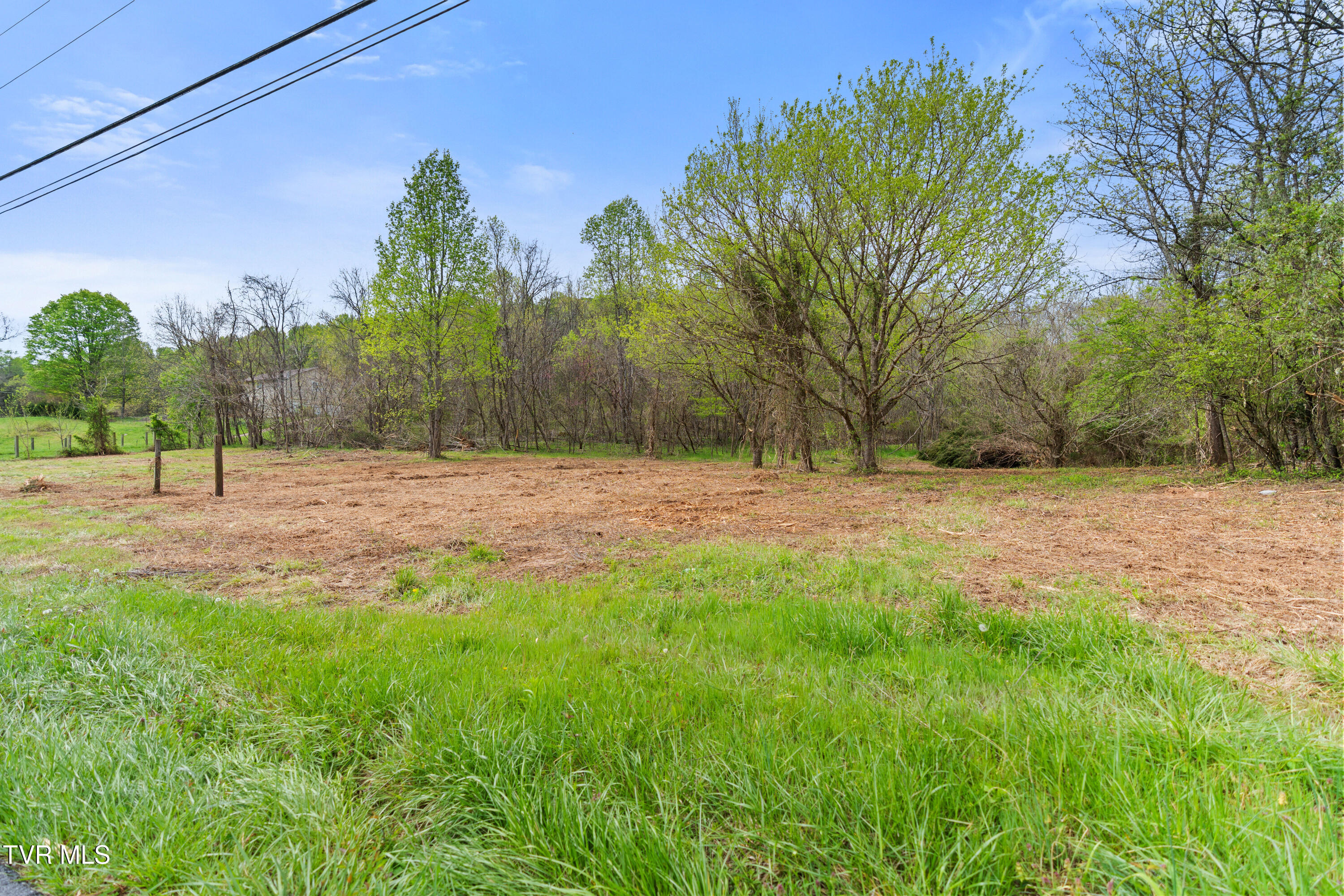 Tbd Doty Chapel Road Afton, TN 37616 - Photo 12 of 12 DSC06927