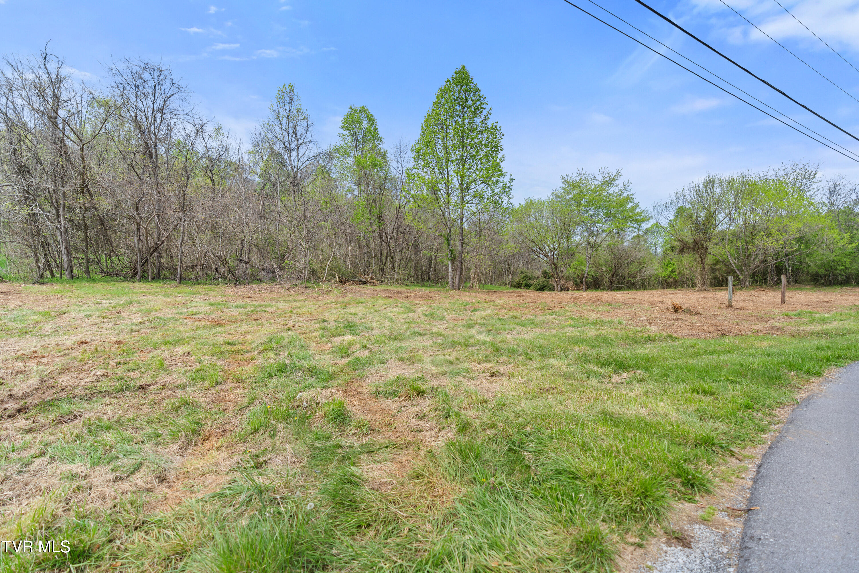 Tbd Doty Chapel Road Afton, TN 37616 - Photo 10 of 12 DSC06921