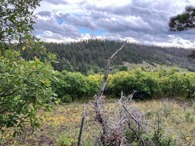 1 La Sierra Road Holman, NM 87723 - Photo 16 of 18