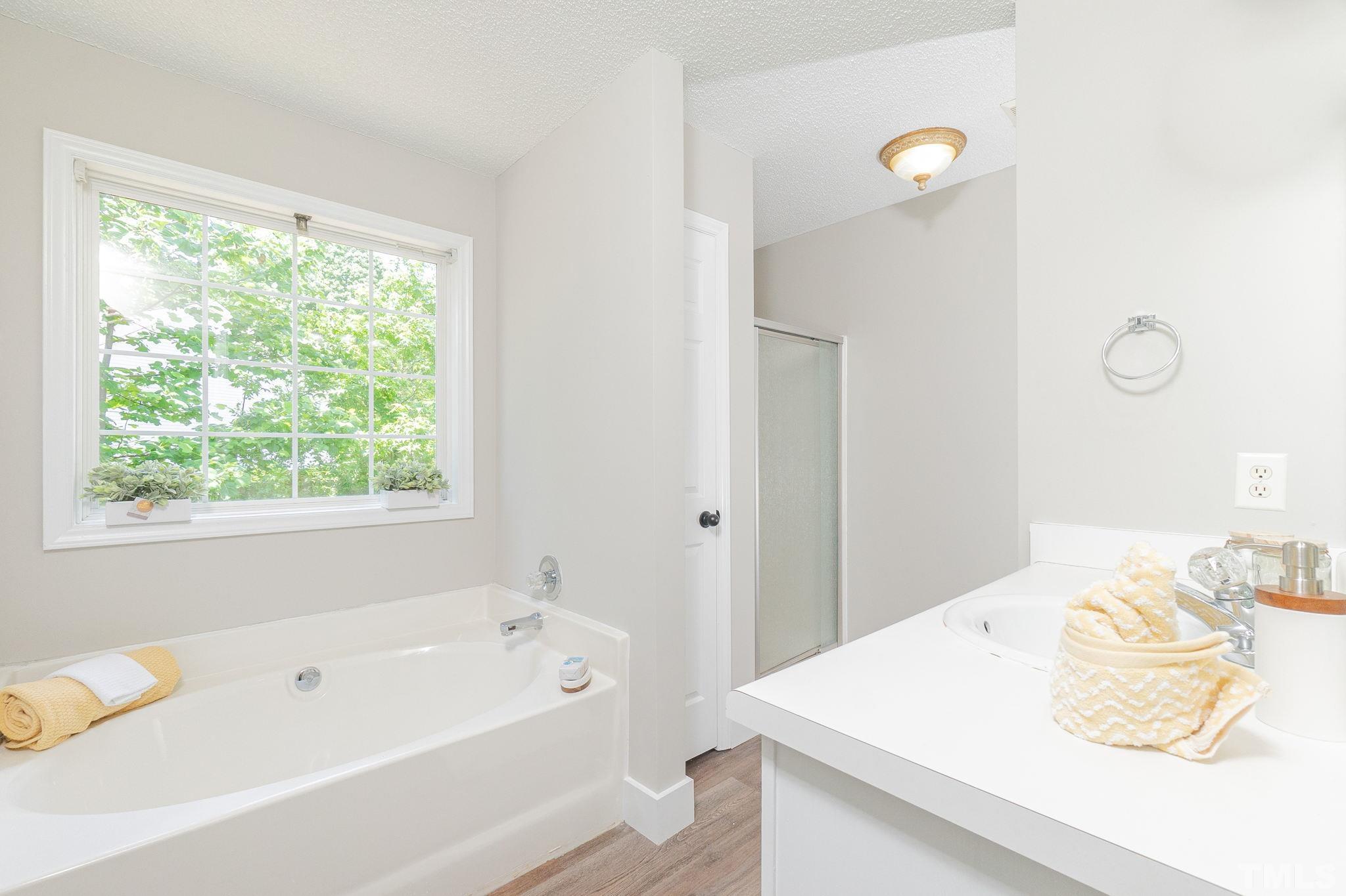 463 Rosa Circle Willow Spring, NC 27592 - Photo 25 of 36 a bathroom with a tub sink and a window
