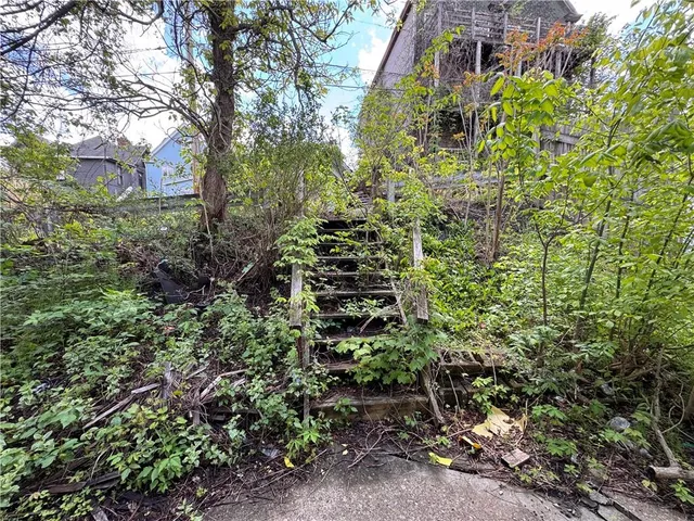 a view of a garden with plants