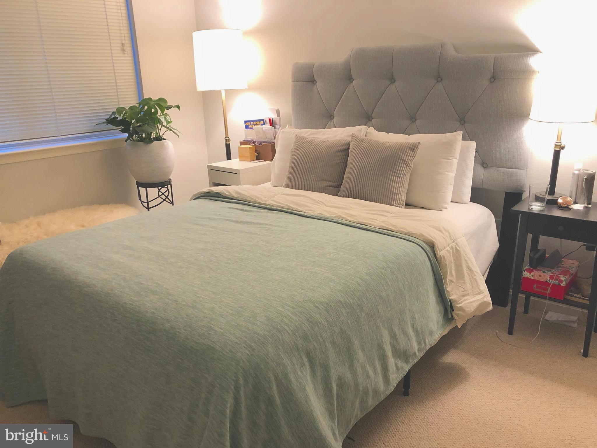 3830 9th Street North, Unit 607E Arlington, VA 22203 - Photo 8 of 17 a bedroom with a bed and a potted plant