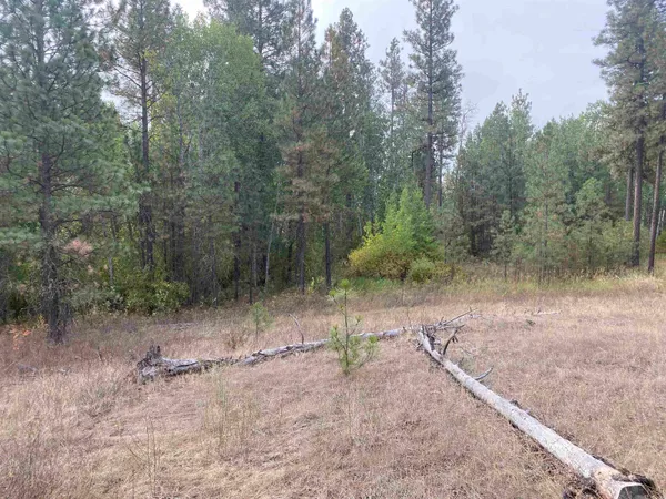 $99,000 | Tbd Tbd Lorna Lane, Unit LOT J, Cheney, WA 99004