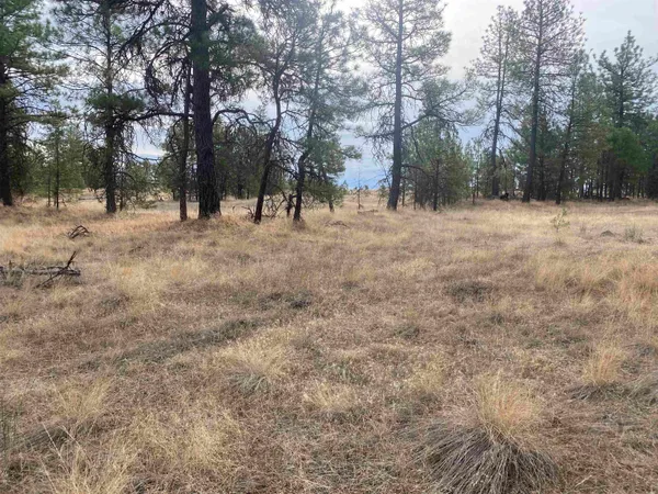 $99,000 | Tbd Tbd Lorna Lane, Unit LOT J, Cheney, WA 99004
