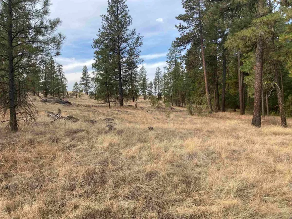 $99,000 | Tbd Tbd Lorna Lane, Unit LOT J, Cheney, WA 99004