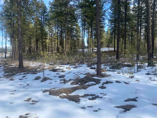 $99,000 | Tbd Tbd Lorna Lane, Unit LOT J, Cheney, WA 99004