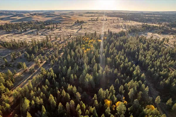 $99,000 | Tbd Tbd Lorna Lane, Unit LOT J, Cheney, WA 99004