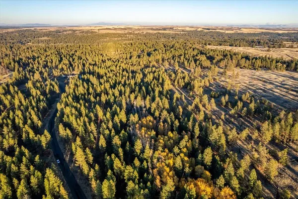 $99,000 | Tbd Tbd Lorna Lane, Unit LOT J, Cheney, WA 99004