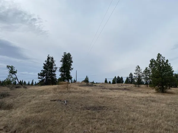 $99,000 | Tbd Tbd Lorna Lane, Unit LOT J, Cheney, WA 99004