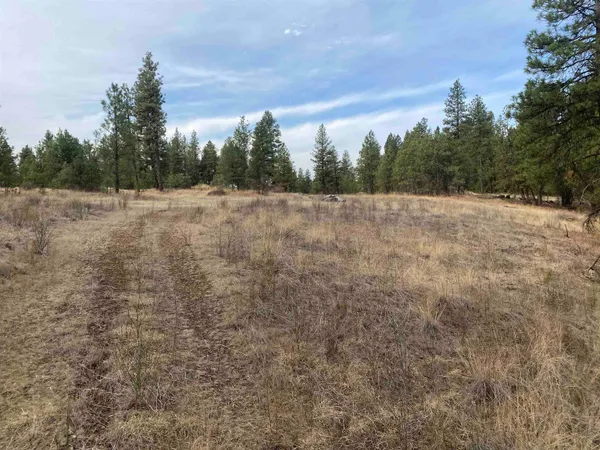 $99,000 | Tbd Tbd Lorna Lane, Unit LOT J, Cheney, WA 99004