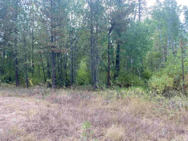 $99,000 | Tbd Tbd Lorna Lane, Unit LOT J, Cheney, WA 99004