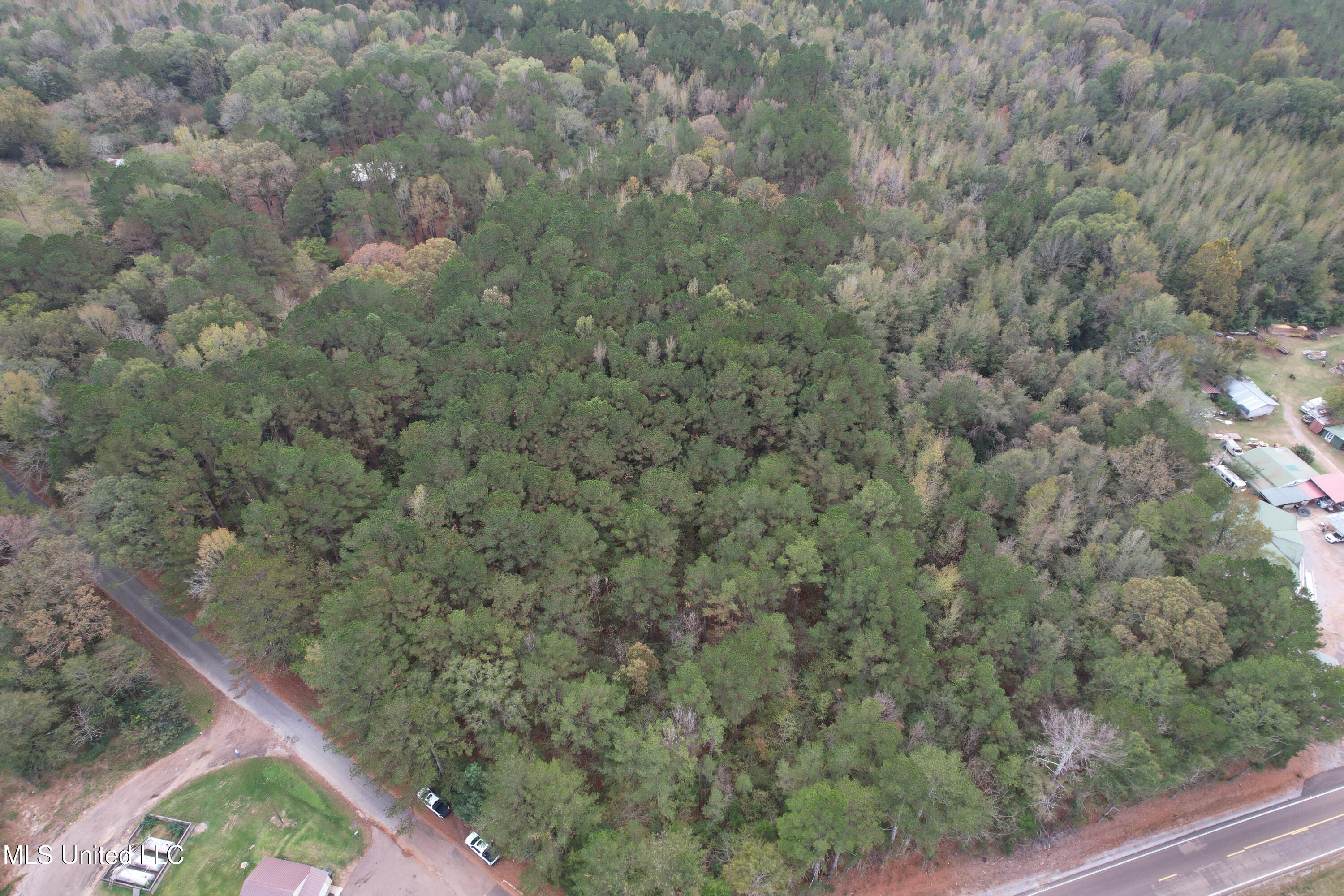 16 Highway 16 Canton, MS 39046 - Photo 6 of 11 DJI_0862