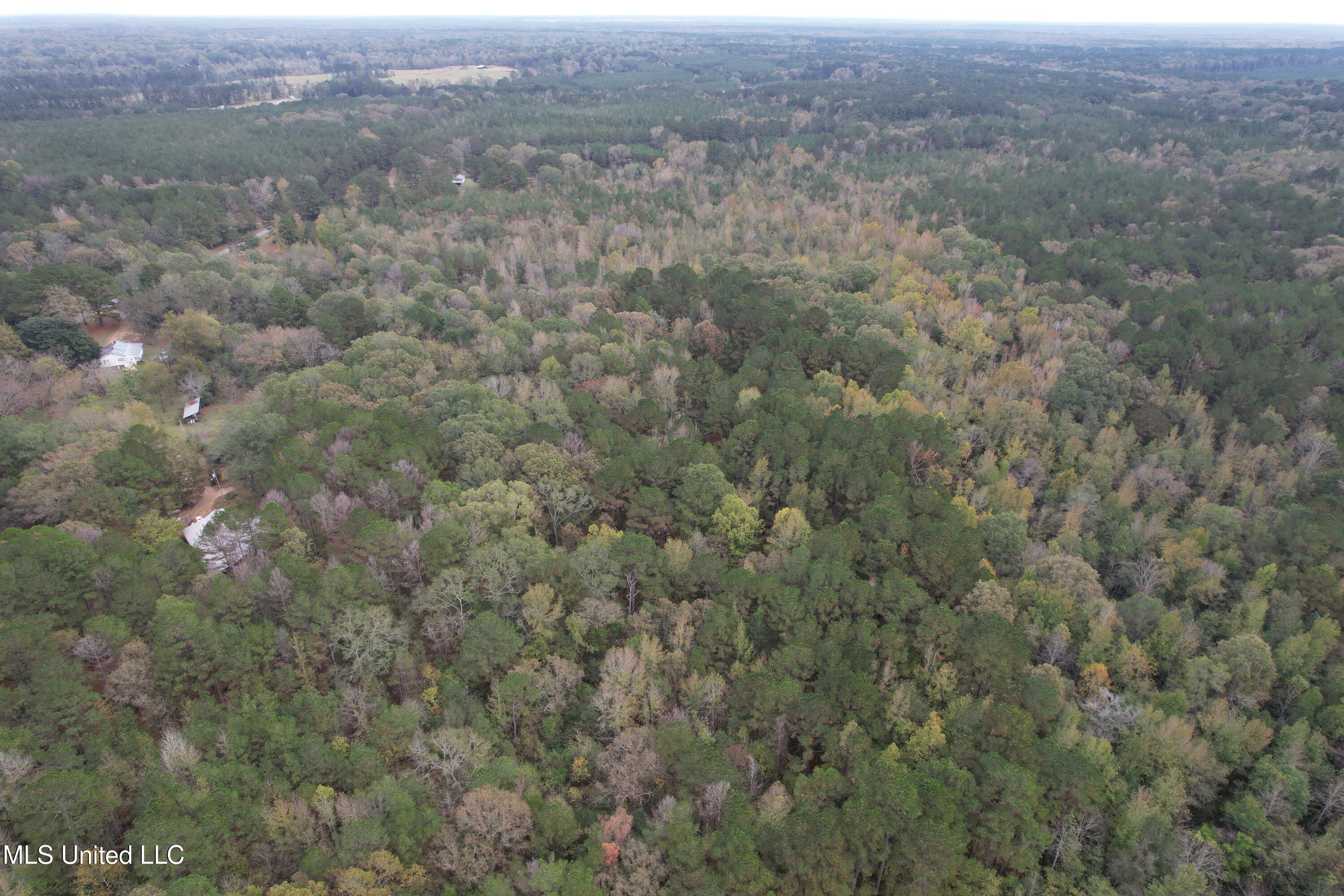 16 Highway 16 Canton, MS 39046 - Photo 7 of 11 DJI_0864