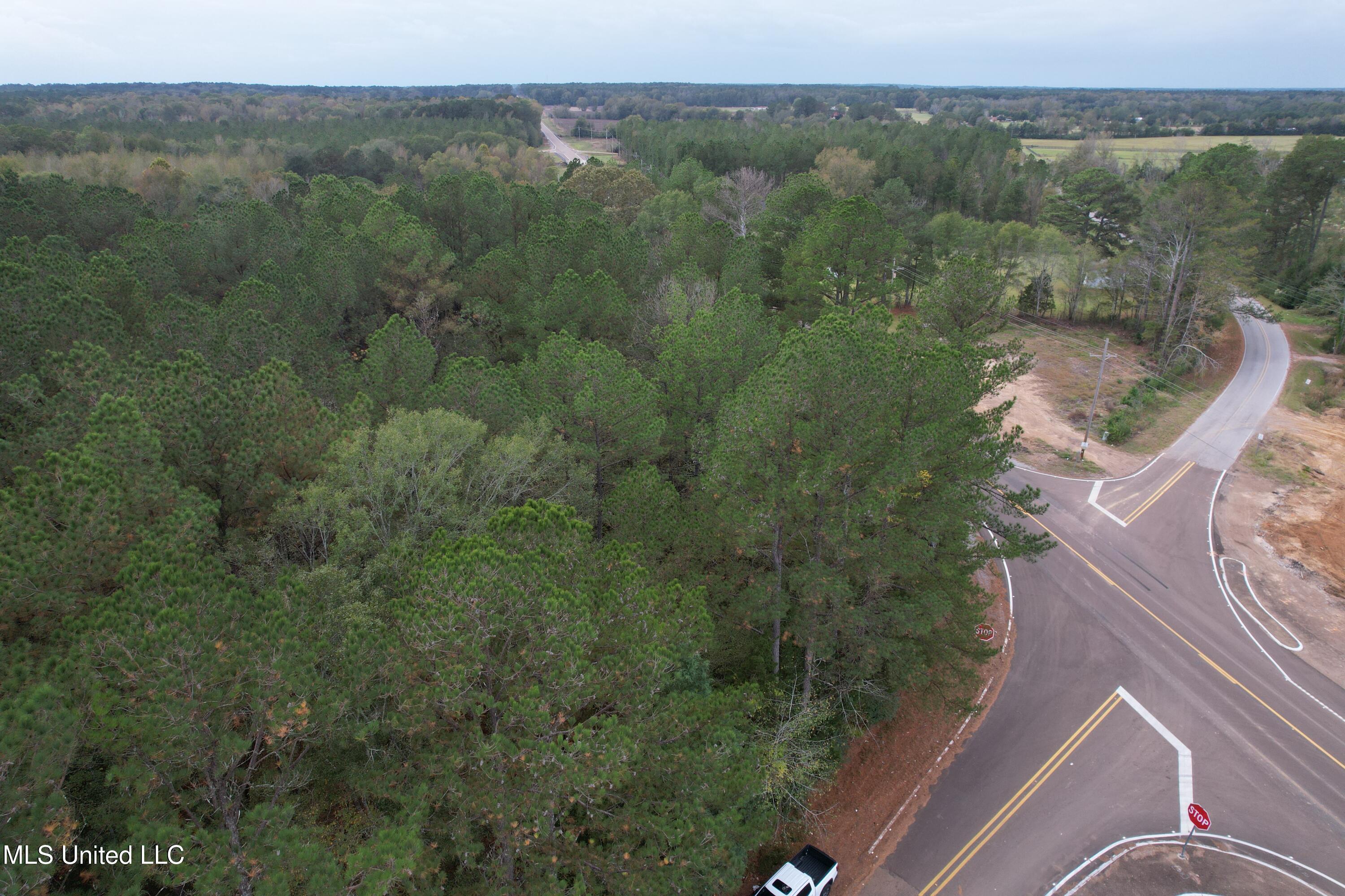 16 Highway 16 Canton, MS 39046 - Photo 8 of 11 DJI_0867