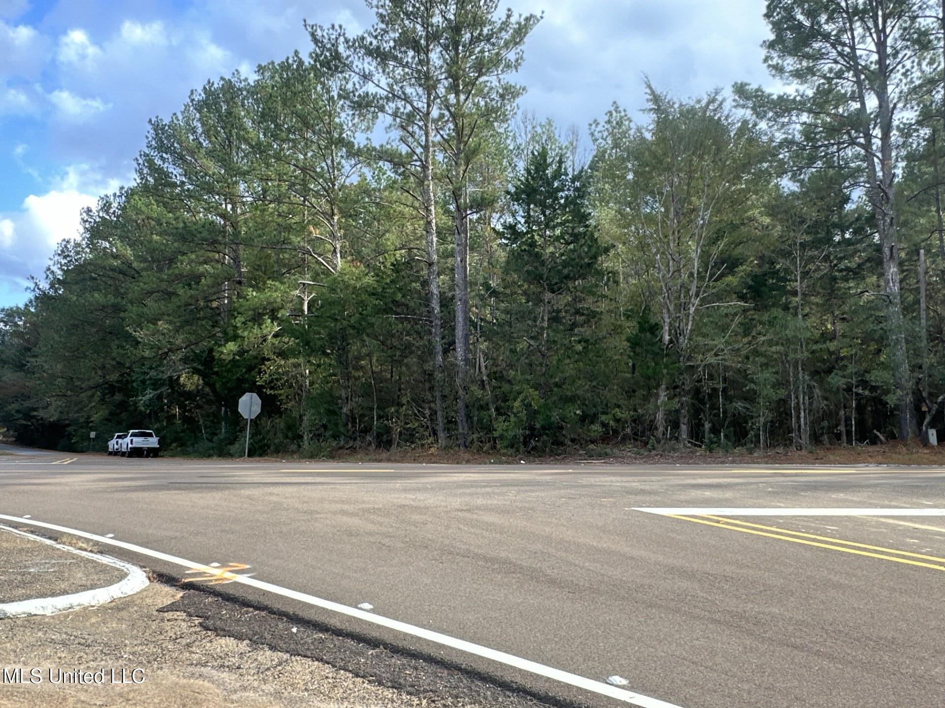 16 Highway 16 Canton, MS 39046 - Photo 9 of 11 thumbnail_IMG_9027