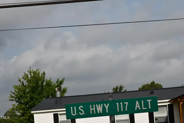 a view of a garden with plants