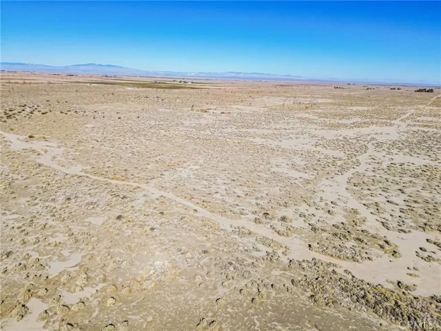 a close up of a field