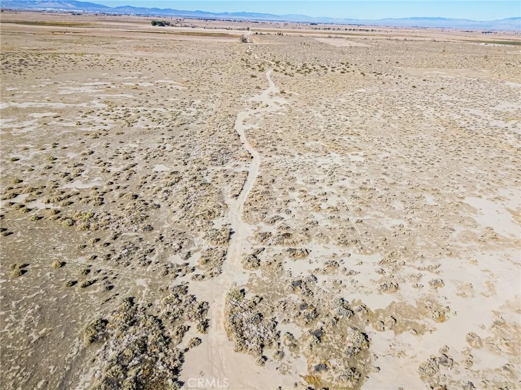 125 Lancaster Street East Lancaster, CA 93535 - Photo 27 of 43 a close up of a field
