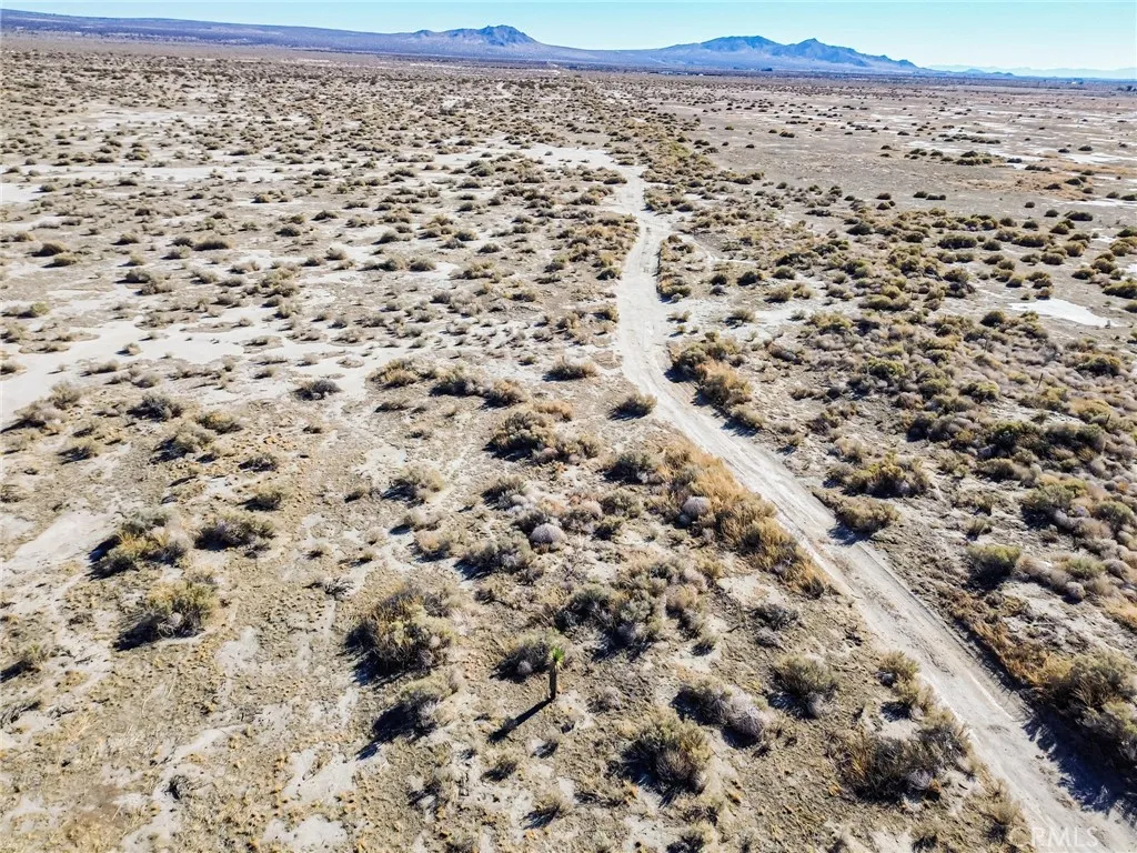 125 Lancaster Street East Lancaster, CA 93535 - Photo 37 of 43 a view of a yard