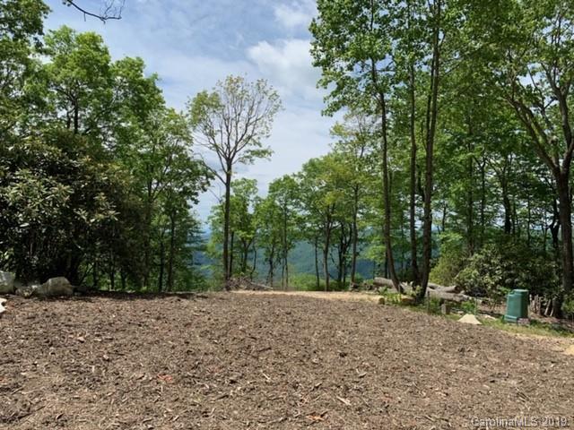 8 Liz Reece Road Rosman, NC 28772 - Photo 5 of 14 Gallery Image 5