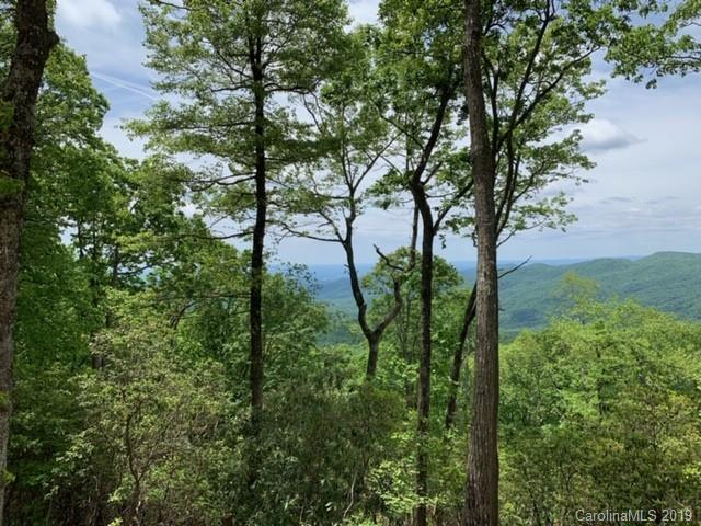 8 Liz Reece Road Rosman, NC 28772 - Photo 9 of 14 Gallery Image 9