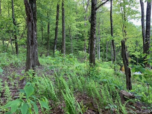 8 Liz Reece Road Rosman, NC 28772 - Photo 10 of 14 Gallery Image 10