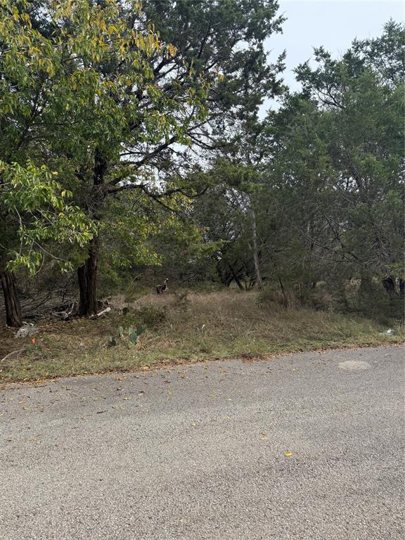 0 Teakwood Loop Belton, TX 76513 - Photo 1 of 9 a view of a dirt road with trees in the background