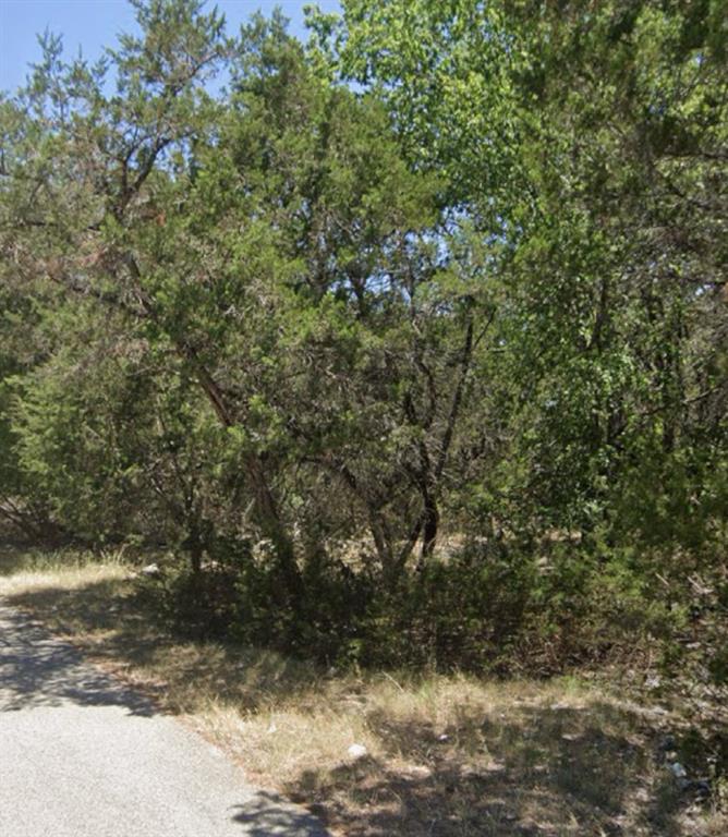 0 Teakwood Loop Belton, TX 76513 - Photo 5 of 9 a view of a covered with large trees