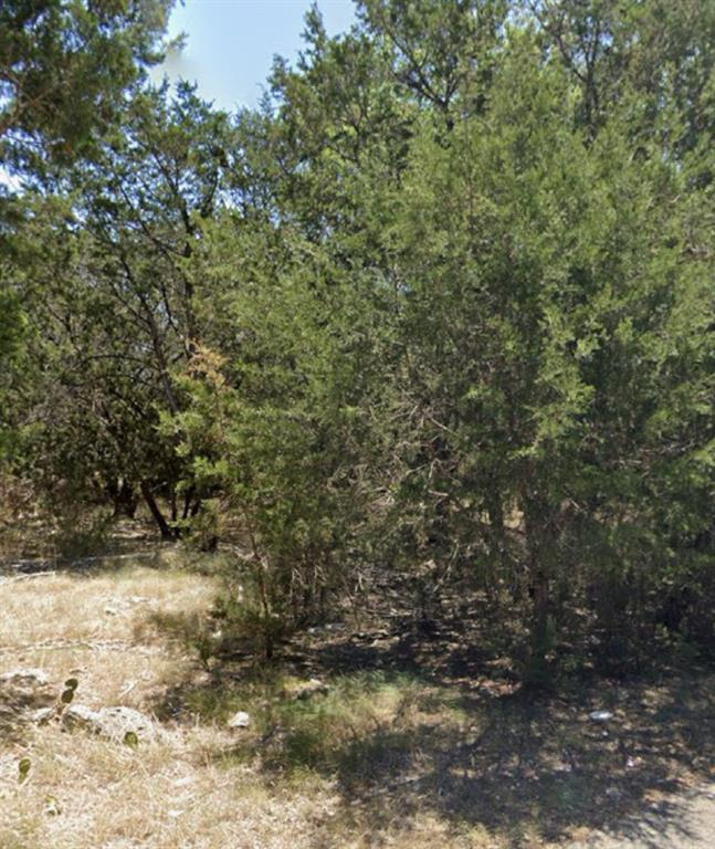 0 Teakwood Loop Belton, TX 76513 - Photo 7 of 9 a view of a yard with a tree