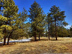 1570 Wagon Wheel Road Hartsel, CO 80449 - Photo 21 of 25 Gallery Image 21