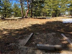 1570 Wagon Wheel Road Hartsel, CO 80449 - Photo 22 of 25 Gallery Image 22