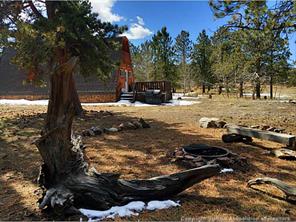 1570 Wagon Wheel Road Hartsel, CO 80449 - Photo 23 of 25 Gallery Image 23