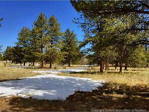 1570 Wagon Wheel Road Hartsel, CO 80449 - Photo 24 of 25 Gallery Image 24