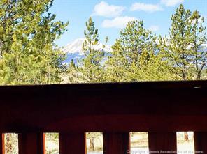 1570 Wagon Wheel Road Hartsel, CO 80449 - Photo 8 of 25 Gallery Image 8