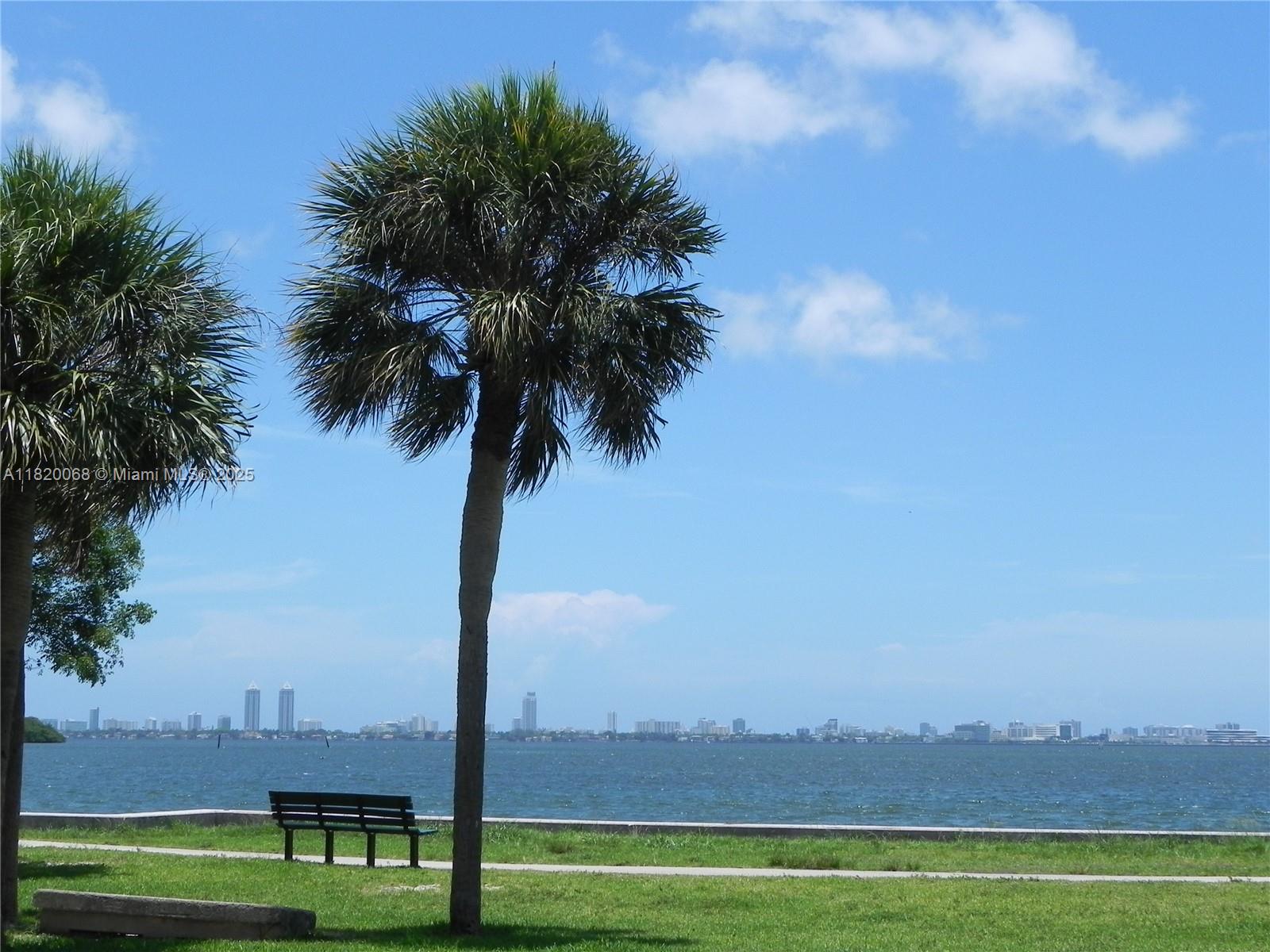 Bayside Miami, FL 33138 - Photo 40 of 44 a view of a city with palm trees