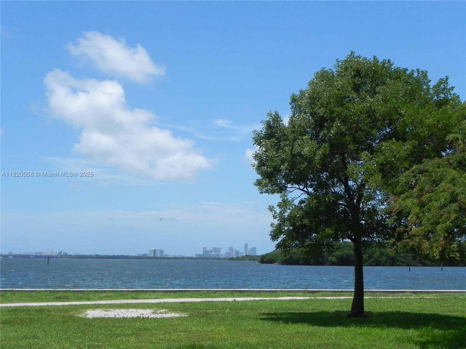 Bayside Miami, FL 33138 - Photo 41 of 44 a view of yard with swimming pool and trees in the background