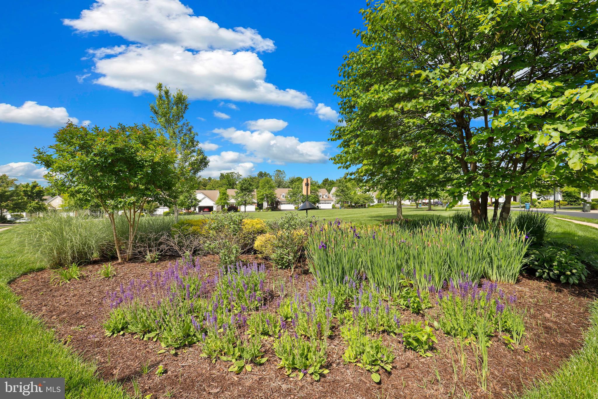 44268 Panther Ridge Drive Ashburn, VA 20147 - Photo 31 of 32 a view of a lake