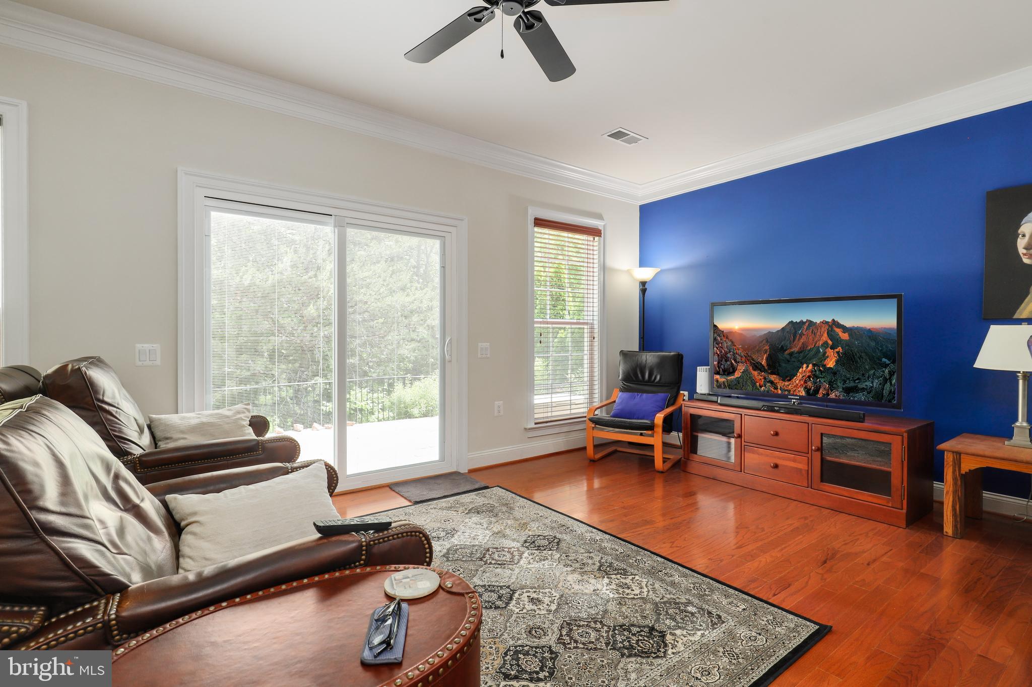 44268 Panther Ridge Drive Ashburn, VA 20147 - Photo 9 of 32 a living room with furniture and a flat screen tv