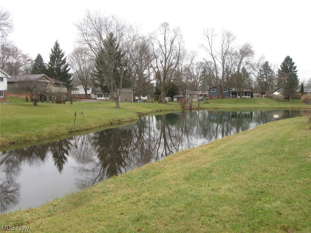 8205 Springview Road Northfield, OH 44067 - Photo 18 of 20 View of water feature