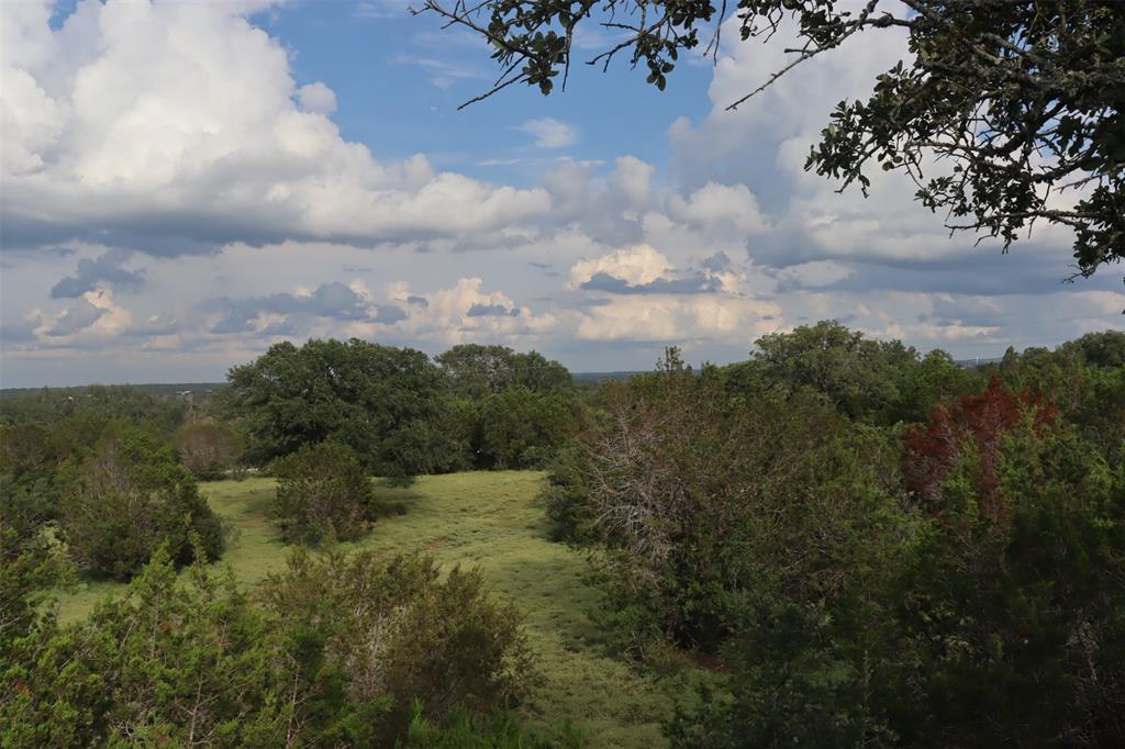 1619 Althaus Ranch Road Johnson City, TX 78636 - Photo 9 of 40