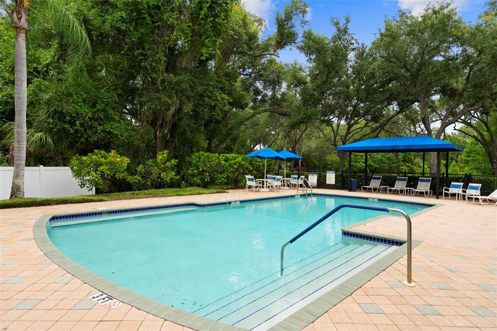 8557 Acorn Ridge Court Tampa, FL 33625 - Photo 44 of 48
