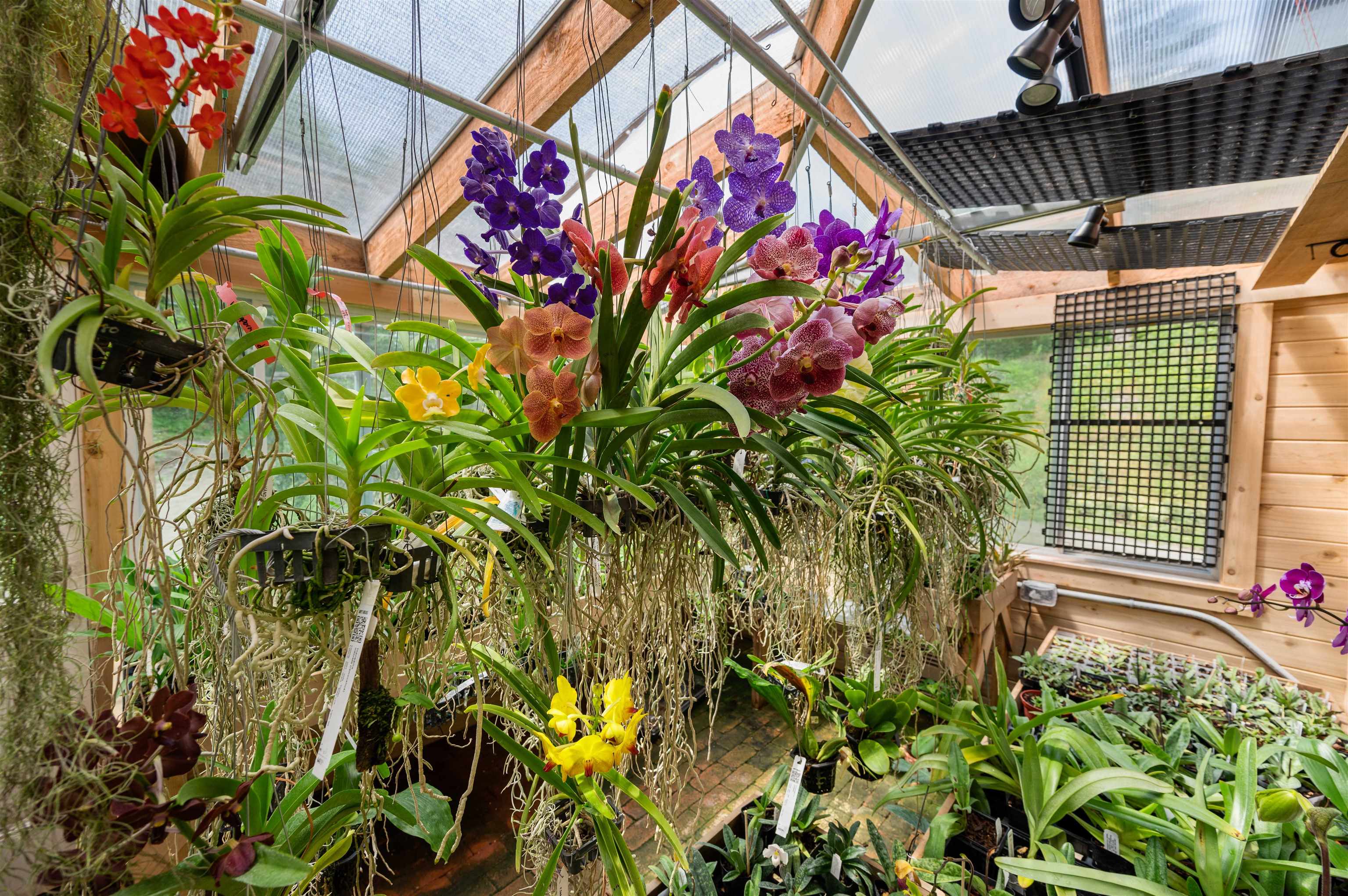 3118 West Glover Road Barton, VT 05822 - Photo 29 of 38