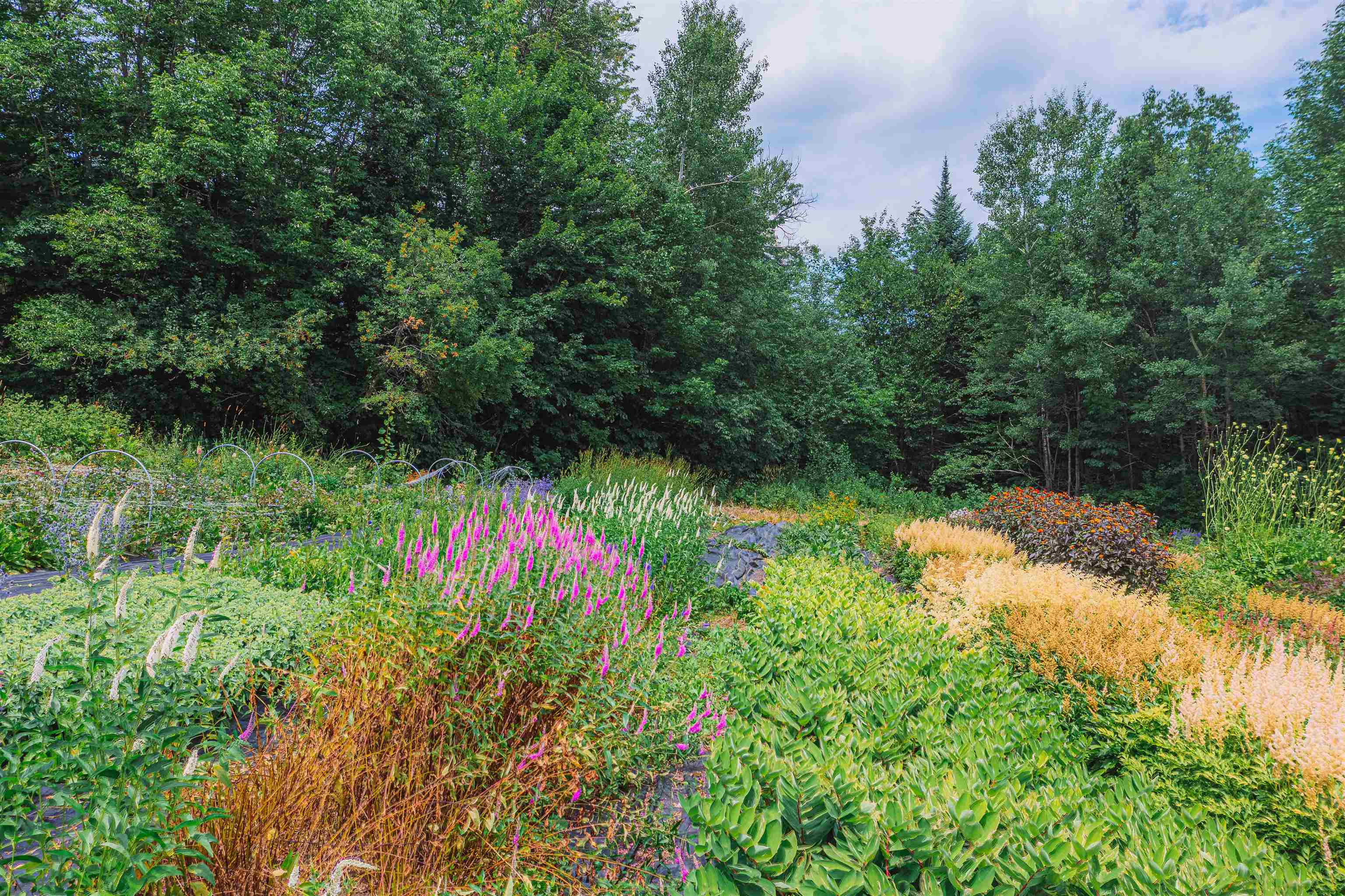 3118 West Glover Road Barton, VT 05822 - Photo 36 of 38