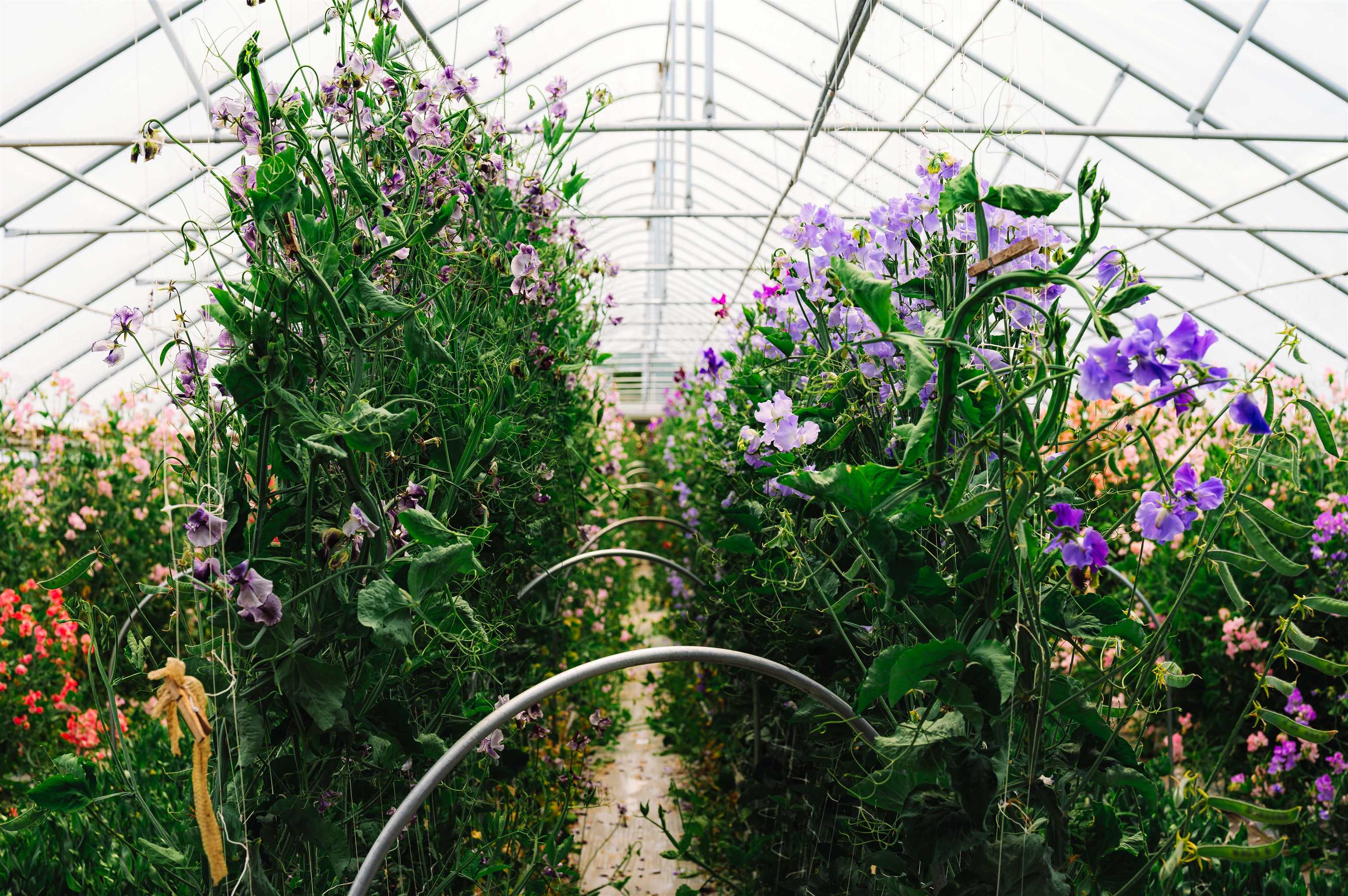 3118 West Glover Road Barton, VT 05822 - Photo 37 of 38