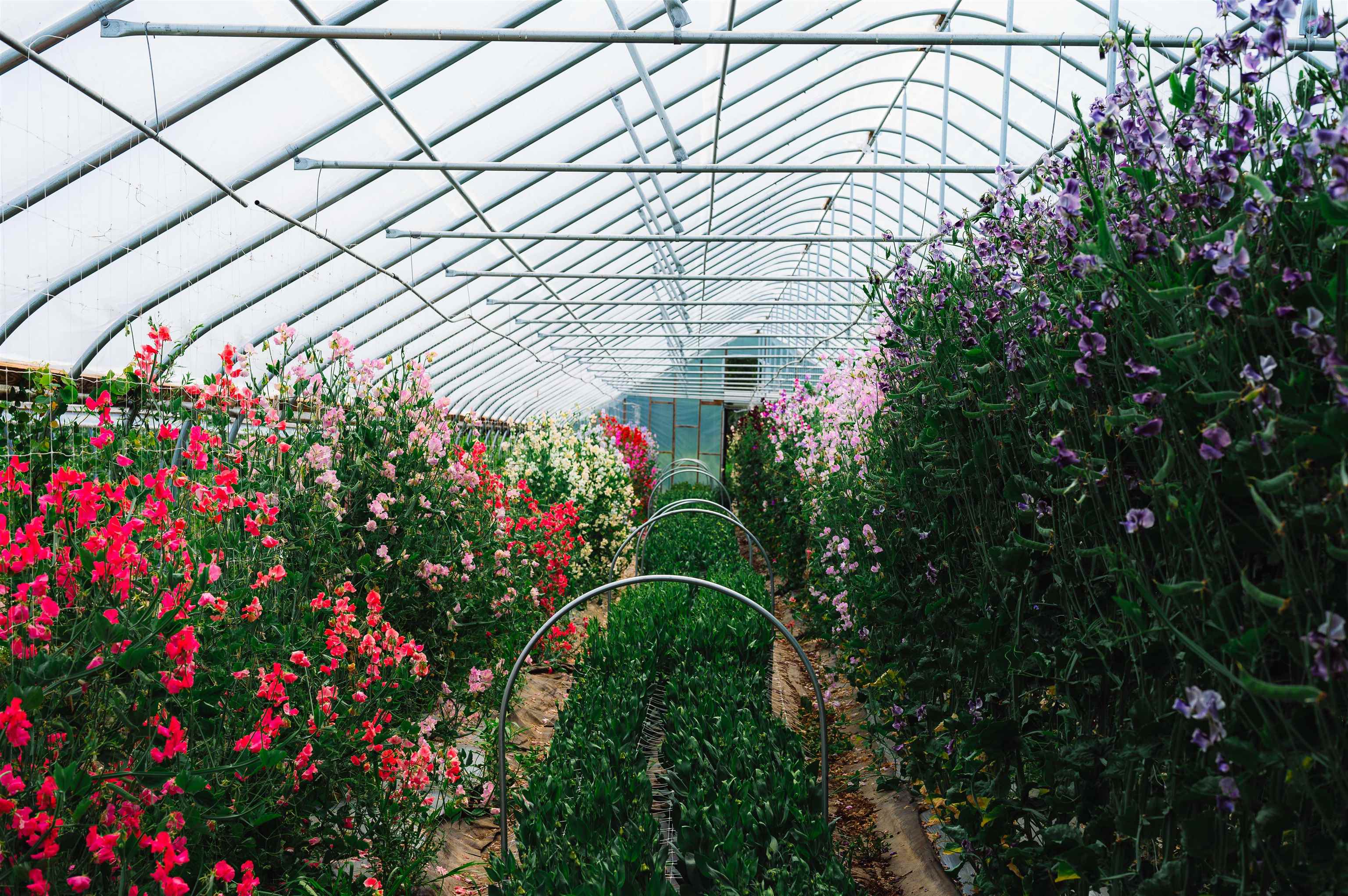 3118 West Glover Road Barton, VT 05822 - Photo 38 of 38