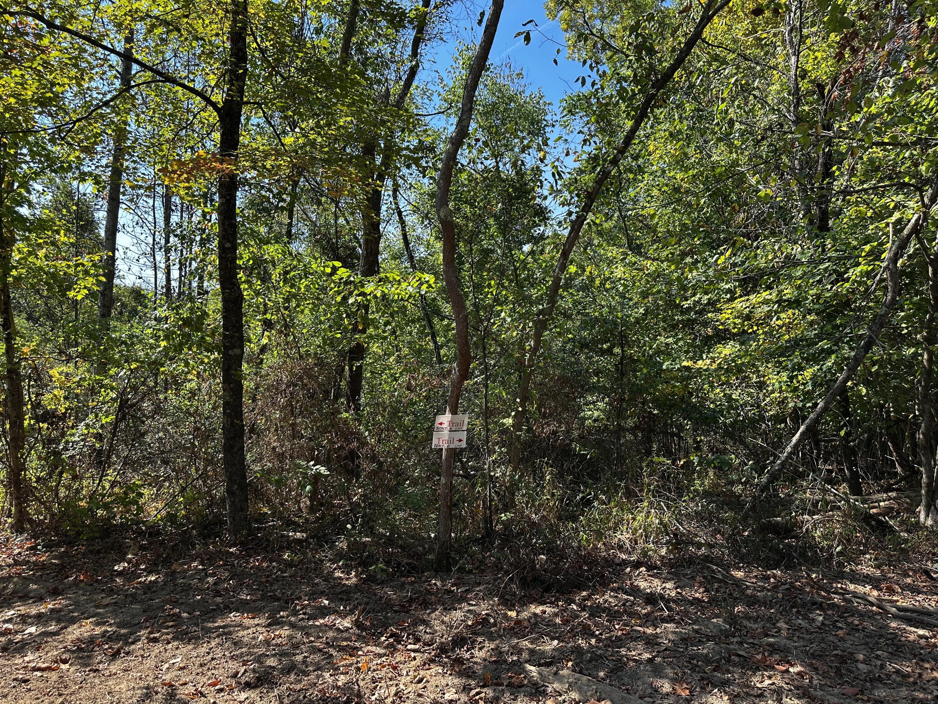 0 Dutch Ridge Road, Unit TRACT 6 AT DUTCH RIDGE) New Straitsville, OH 43766 - Photo 21 of 44 20240920_152658254_iOS