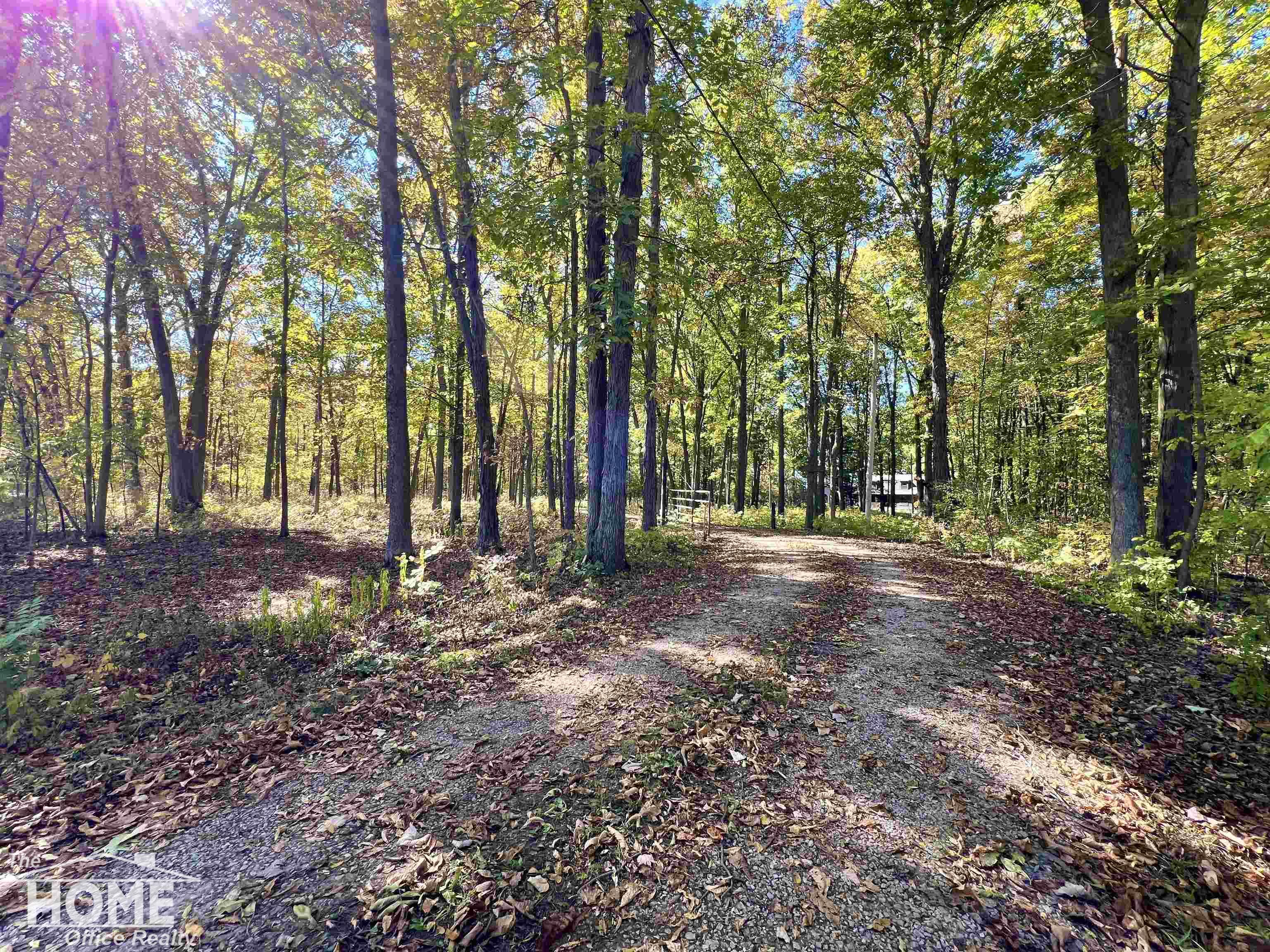 10246 Scribner Road Bancroft, MI 48414 - Photo 44 of 87 50157967-de95a6e7-4f0a-4b2f-aa60-0b9e7d0a63de.JPG