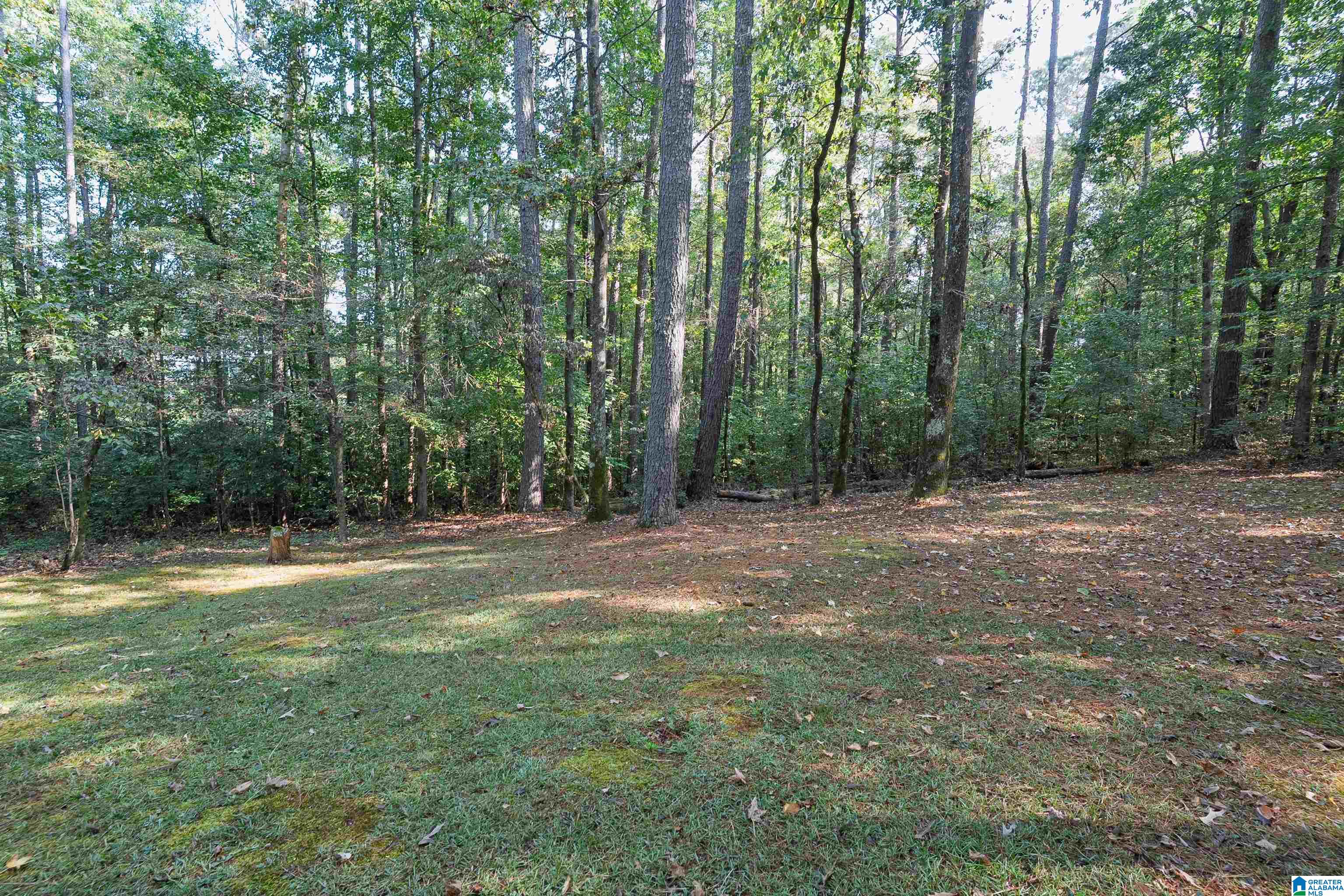 6804 Old Springville Road Pinson, AL 35126 - Photo 38 of 50 Gallery Image 38